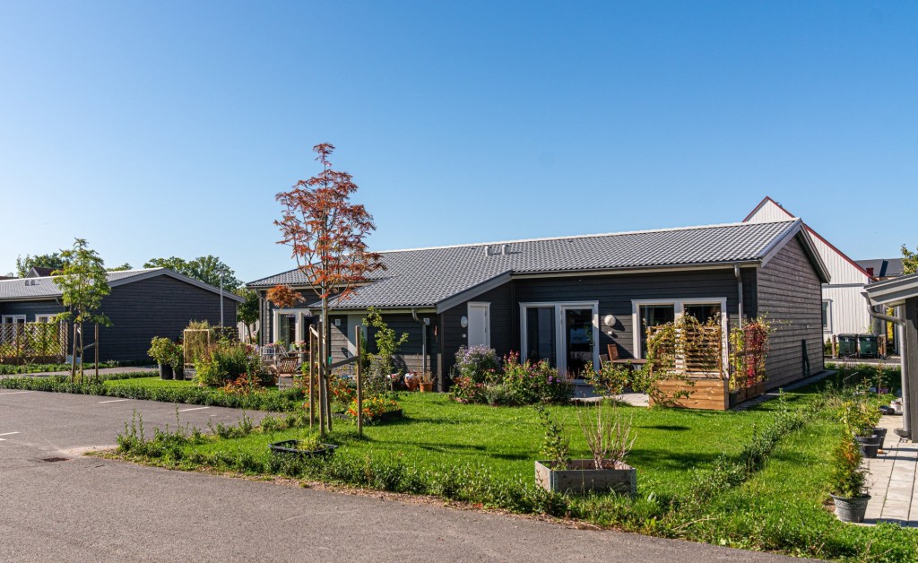 Trädgård