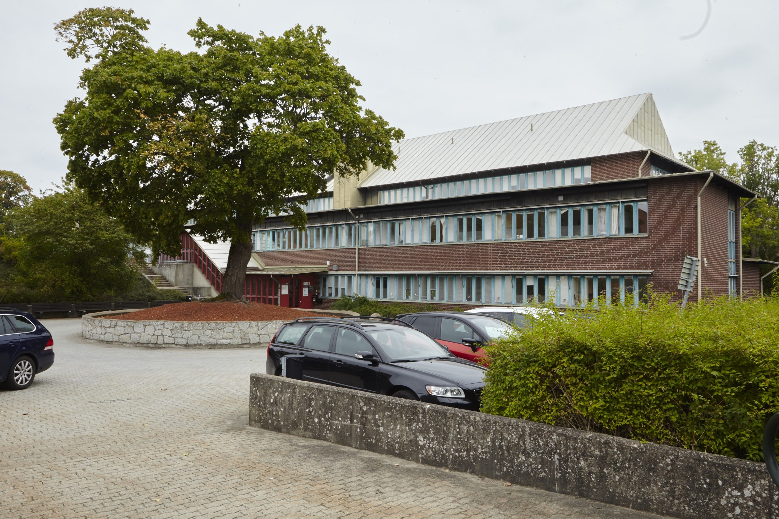 Brinken 1